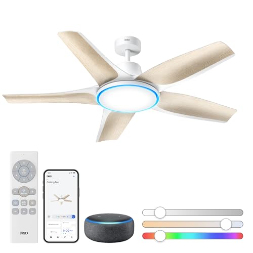 https://m.media-amazon.com/images/I/31-eHfS3AcL.jpg