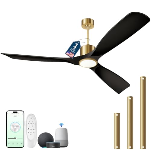 https://m.media-amazon.com/images/I/410cywkYaAL.jpg