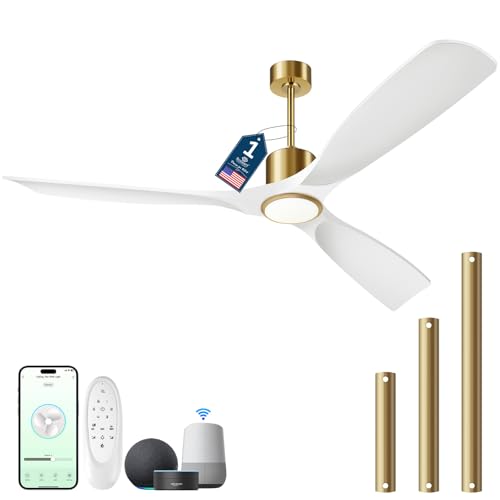 https://m.media-amazon.com/images/I/414Egn49bqL.jpg