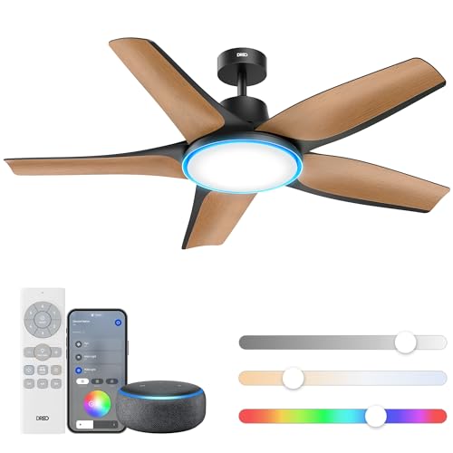 https://m.media-amazon.com/images/I/41pVQCHfgIL.jpg