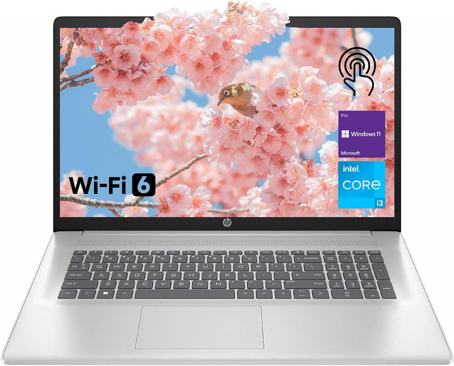 HP 17.3" HD+ Touchscreen Laptop, Intel i3, 32GB RAM, 2TB SSD