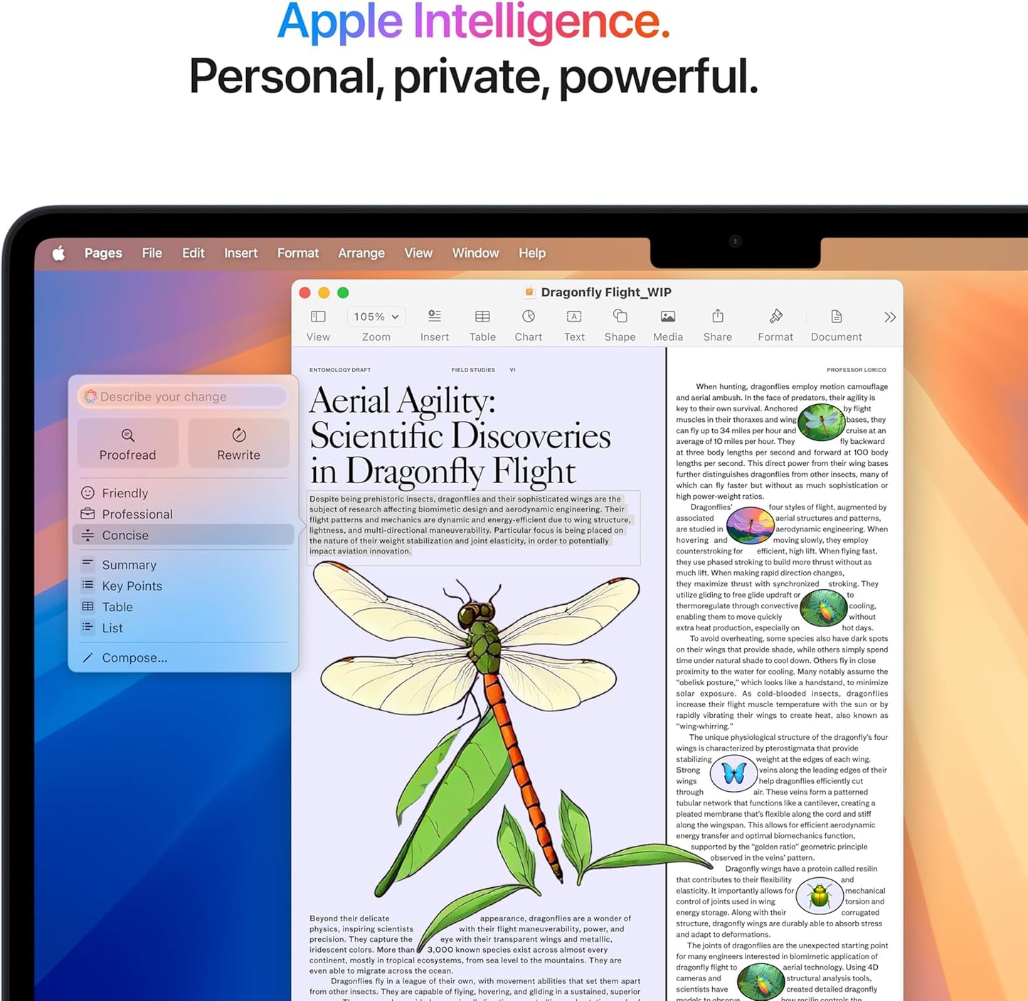 Apple 2025 MacBook Air 13-inch: M4 Chip, Liquid Retina, 16GB RAM, 256GB SSD