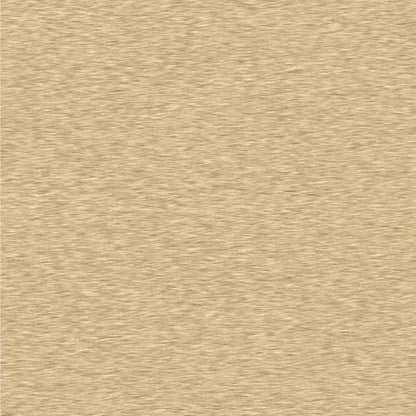 https://m.media-amazon.com/images/I/511iqZ+M7qL.jpg