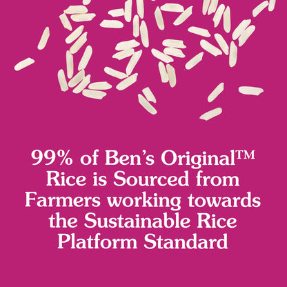 BEN'S ORIGINAL Ready Rice Whole Grain Brown Rice, Easy Dinner Side, 8.8 oz Pouch